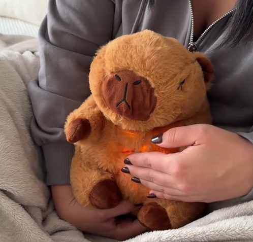 Cappyboo the Capybara™