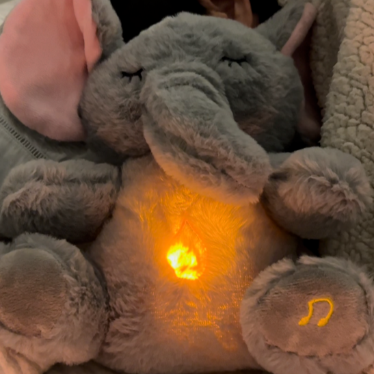 Ellumi the elephent™