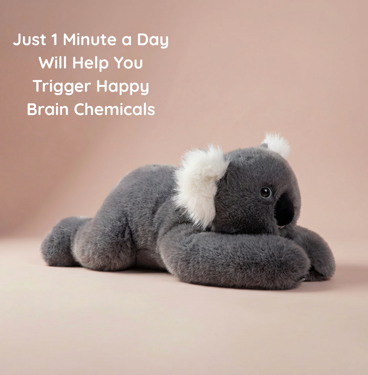 Kozie the Weighted Koala™ — The weighted plushie whose arms actually hug you back