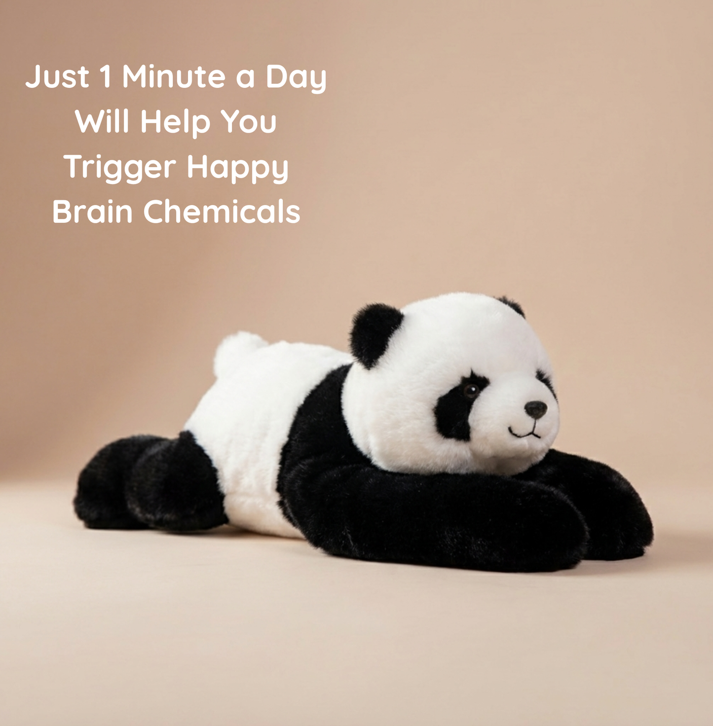 Perry the Weighted Panda™ — The weighted plushie whose arms actually hug you back