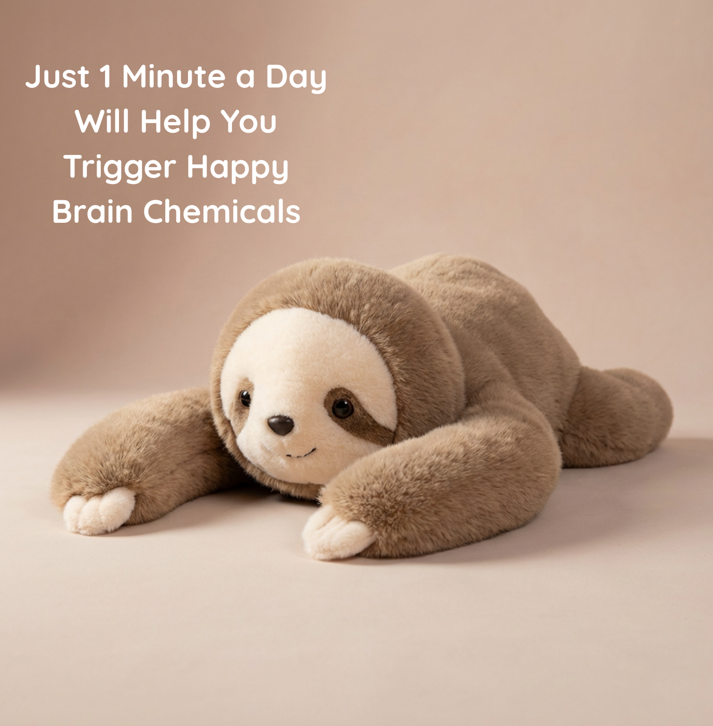 Sunny the Weighted Sloth™