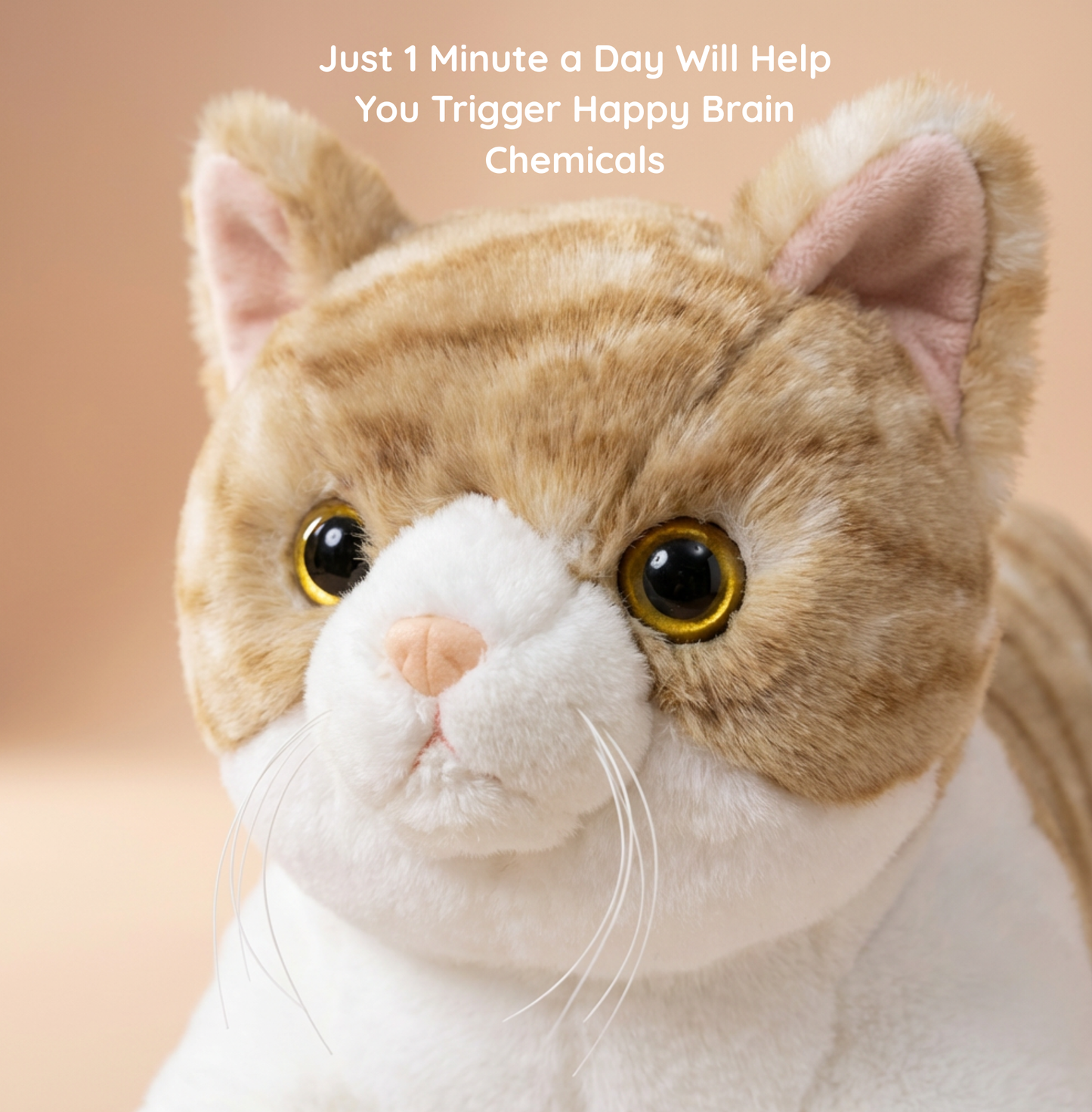 Cuddles the Weighted Cat™ — The weighted plushie whose arms actually hug you back