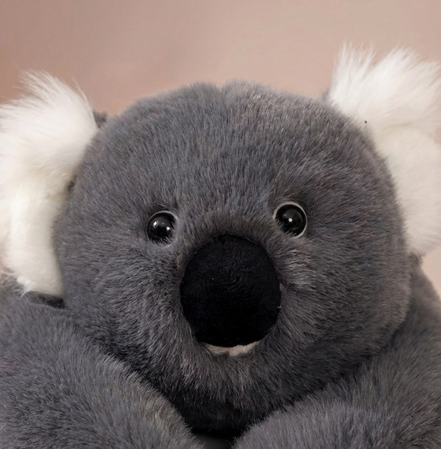 Kozie the Weighted Koala™ — The weighted plushie whose arms actually hug you back