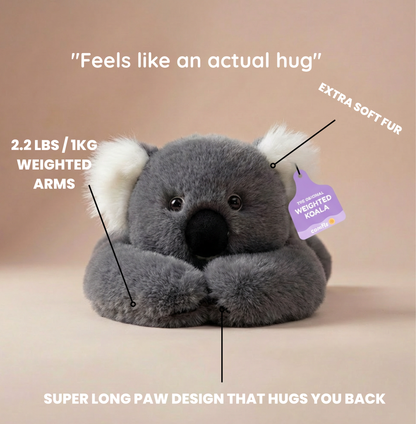 Kozie the Weighted Koala™ — The weighted plushie whose arms actually hug you back